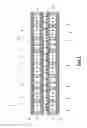 Fig. 02 - Magnetic closure
