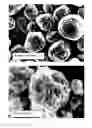 Fig. 01 - Porous particles of interconnected 3D graphene as a supercapacitor electrode active material and production process