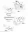 Fig. 02 - CONTROL FOR SNOW PLOW OR WINCH