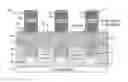 Fig. 01 - Contact structure and extension formation for III-V nFET
