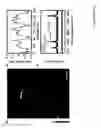 Fig. 06 - Atomic layer chemical patterns for block copolymer assembly