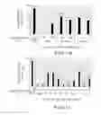 Fig. 08 - Substrate treatment apparatus, substrate treatment method, and etchant