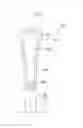 Fig. 07 - Substrate processing apparatus