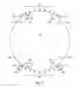 Fig. 08 - Thin wafer shipper