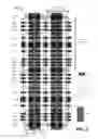 Fig. 04 - Metal layers for a three-port bit cell