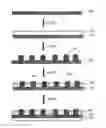 Fig. 01 - Self-oscillating flexible OLED panel and fabrication method thereof