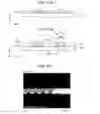 Fig. 40 - LIGHT-EMITTING DEVICE HAVING PHOTOLUMINESCENT LAYER