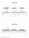 Fig. 08 - Method for manufacturing light emitting device