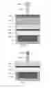 Fig. 04 - Spin torque MRAM fabrication using negative tone lithography and ion beam etching