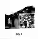 Fig. 03 - Nanoscale SOFC electrode architecture engineered using atomic layer deposition
