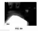 Fig. 09 - Nanoscale SOFC electrode architecture engineered using atomic layer deposition