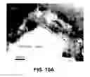 Fig. 13 - Nanoscale SOFC electrode architecture engineered using atomic layer deposition