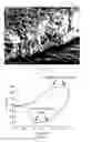 Fig. 04 - MANUFACTURING METHOD FOR POLYCRYSTALLINE ELECTRODE