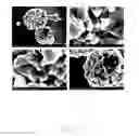 Fig. 05 - POLYNARY COMPOSITE OXIDE, PREPARATION METHOD AND USE THEREOF