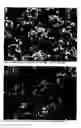 Fig. 09 - Lithium cobalt oxide material