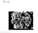 Fig. 08 - Cathode active material, cathode and lithium secondary battery including the same, and method of preparing cathode active material