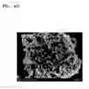Fig. 09 - Cathode active material, cathode and lithium secondary battery including the same, and method of preparing cathode active material