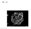 Fig. 10 - Cathode active material, cathode and lithium secondary battery including the same, and method of preparing cathode active material