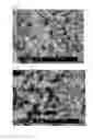 Fig. 03 - Positive electrode active material for lithium ion battery, containing lithium vanadium zirconium phosphate, and lithium ion battery comprising same