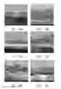 Fig. 06 - ADHESIVE COMPOSITION, ELECTRODE COMPOSITION, ELECTRODE AND LITHIUM BATTERY