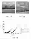 Fig. 07 - ADHESIVE COMPOSITION, ELECTRODE COMPOSITION, ELECTRODE AND LITHIUM BATTERY