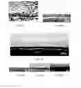 Fig. 05 - High performance battery anodes with polymeric coatings including molecules cross-linked through dynamic bonds