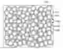 Fig. 01 - FUEL CELL ELECTRODES WITH CONDUCTION NETWORKS