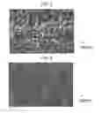 Fig. 03 - Stainless steel for fuel cell separators