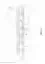 Fig. 13 - Fuel cell system with interconnect