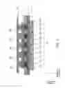 Fig. 05 - Fuel cell