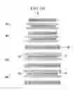 Fig. 11 - Electrode assembly, manufacturing method thereof, and rechargeable battery
