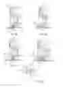 Fig. 08 - Multi-filar helical antenna