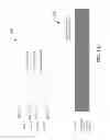 Fig. 02 - Multiband microline antenna