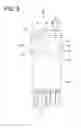 Fig. 06 - Connector