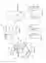 Fig. 03 - ELECTRICAL SOCKET