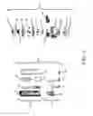 Fig. 07 - Rotatable electrical connector