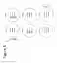 Fig. 07 - Manufacturable multi-emitter laser diode