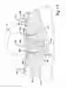 Fig. 19 - Motor having split spray ring for cooling end turns