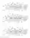 Fig. 08 - Switch device and use of the switch device