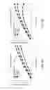 Fig. 09 - Spatial division multiplexing in limited power optical communication systems