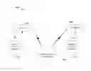 Fig. 01 - Multivariate cryptography based on clipped hopfield neural network