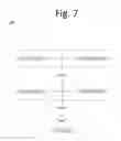 Fig. 08 - Full flow retrieval optimized packet capture