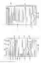 Fig. 06 - Proxied outgoing message transmission