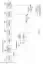 Fig. 09 - Proxied outgoing message transmission