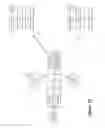Fig. 18 - Performing logical segmentation based on remote device attributes