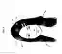 Fig. 06 - Nullifying biometrics