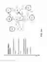 Fig. 83 - Probabilistic suffix trees for network security analysis