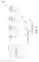 Fig. 106 - Machine-generated traffic detection (beaconing)