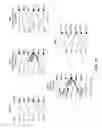 Fig. 96 - Machine-generated traffic detection (beaconing)