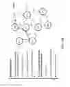 Fig. 84 - Rarity analysis in network security anomaly/threat detection